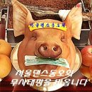 서울댄스(1/12) 무사태평 고사 엣지 정모공지 이미지