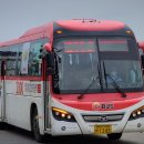 강남-116 이미지