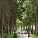 (주)다산약품 이미지