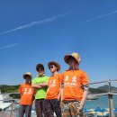 내미농박 이미지