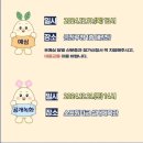 금정구민체육관 실내체육관 이미지