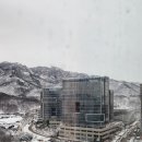 과천지식정보타운공인중개사사무소 이미지