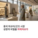 방주기업마트 | 🇨🇳 떠오르는 거대 시장! 중국 피규어 & 굿즈 시장 분석 (덕심이 경제를 움직인다!)