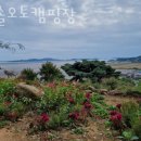 햇솔오토캠핑장 이미지