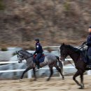 (주)골든쌔들 이미지