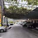 선운산정자나무집 이미지