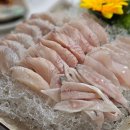 엔돌핀 선어 이미지