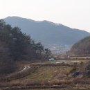 송단제 티스토리