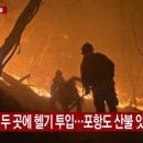지동리 마을회관 | 경주·포항 산불 비상! 건조경보 속 동시다발 화재 현황과 대피 요령 총정리