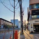 엑스포아파트4단지(건너편) 이미지