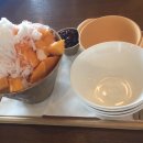 오너스클럽 야외수영장 이미지