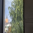 제민천1길 이미지