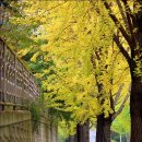 한적2길 이미지