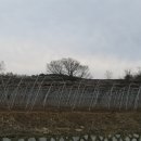 조산농장 이미지