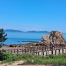 코끼리바위 Daum카페