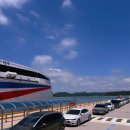 모니카애견 이미지