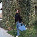 에코제니 이미지