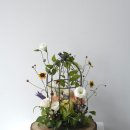 린플라워 이미지