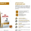 포앤벳 | 강아지 방광결석 유리너리 사료, 로얄캐닌 & 닥터힐메딕스 & 파미나 & 프롬벳 사료비교, 기호성 :)
