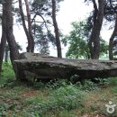 용월리지석묘군 이미지