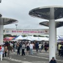 청양시장호스릴-1 | 경기도 가볼만한 곳, 성남 모란민속 5일장 정보&amp;쇼핑리스트 추천