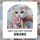 광릉내 애견 이미지