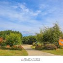 태화강국가정원 이미지