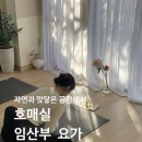 칠보동물병원 | [금곡동 호매실 임산부요가] 후기 호매실카페거리 칠보마을 요가 금곡동 임산부 당수동임산부 봉담...