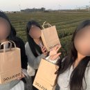 살라미뮤지엄 | [제주도] 일 년 만에 다시 내 행복 찾으러