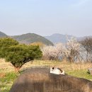 파레스여관 이미지