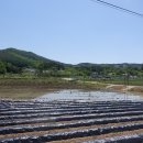 운산리마을회관 Daum카페