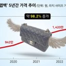 샤넬 가방 클래식미듐 클미 중고 구구스 내돈내산 후기