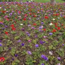 강서구-86 이미지