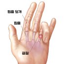 연세길한의원 이미지