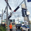 서귀포올림픽기념국민생활관 체육관 이미지