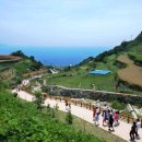 남해-219 이미지