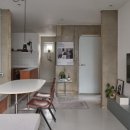 스테이시호일 이미지