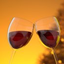 로즈데이 이미지