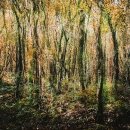 대구예술대학교 이미지