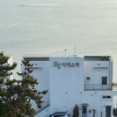 화양로 | [여수숙박] 시에스타풀빌라 105호 오션뷰 🏖️패밀리룸(주말후기, 내돈내산)오션뷰, 일출뷰 👍