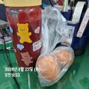아하바안경원 | [4월 넷째주(4/22~4/28) 일상] 솔솥/뼈대일주/해운대도서관/이삭토스트/젠몬 하이저/스시미르네/상록수...