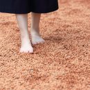 신체밸런스와 건강 이미지