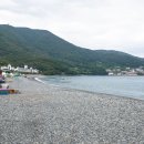동부면 학동동백군락지