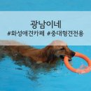 광남이네 | 경기도 화성애견카페 광남이네 중·대형견 전용 견종제한없음 수영장 셀프목욕 후기
