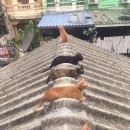 드림밸리공인중개사사무소 이미지