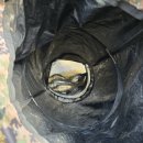 대물낚시 이미지