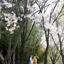 광한루원 음악회 이미지