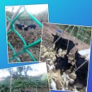 염돌이농장 이미지