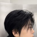 살랑 그루밍 이미지