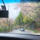 송추산장 | [양주] 대궐산장 회사 야유회 후기/송추계곡/장흥유원지
